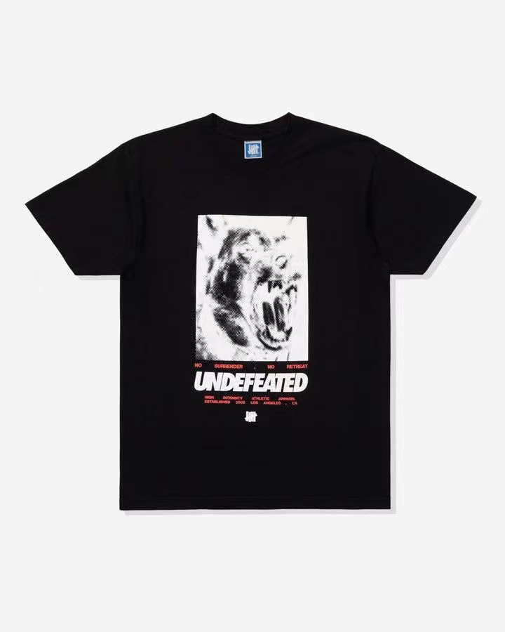 UNDEFEATED　Tシャツ　半袖　夏着　トップス　メンズ/レディース　ファッション